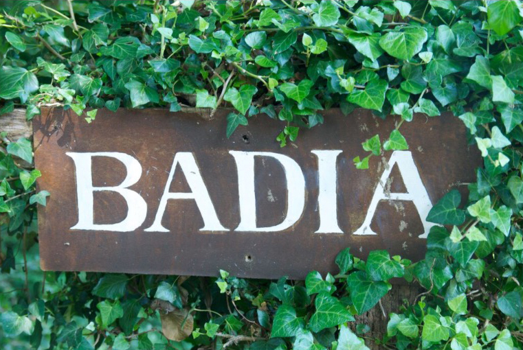 Domaine de Badia : Welcome