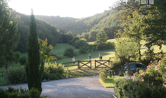 Domaine de Badia Meadow